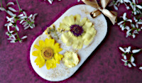 HEM Wax Melts Duftwachs Wachsschmelze