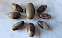 Shiva Lingam Shiva Lingam