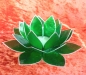 Mobile Preview: LotusTeelichthalter Capiz grün