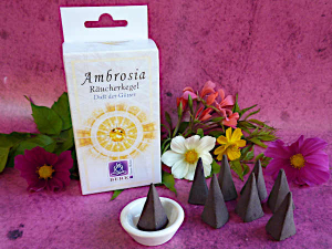 Ambrosia  Räucherpyramiden Holy Smokes herkegel