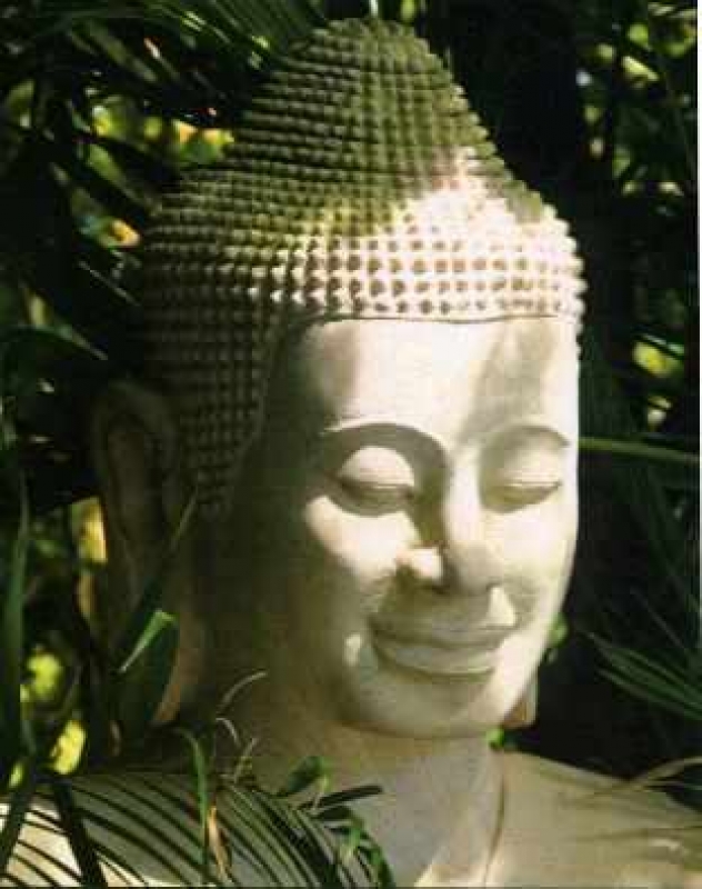Buddha-Poster Meditation