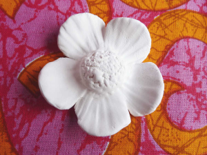Duftstein Blume