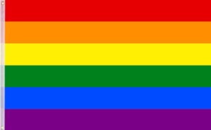 Regenbogenflagge zum Hissen  90x150cm