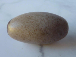 Shiva Lingam heiliger Stein Indien