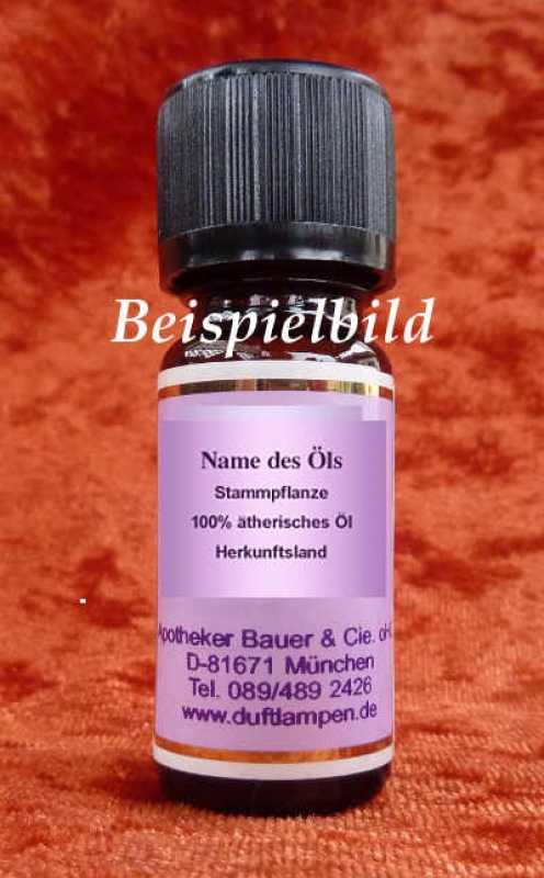 Lavendel (Lavandula augustifolia)  ätherisches Öl