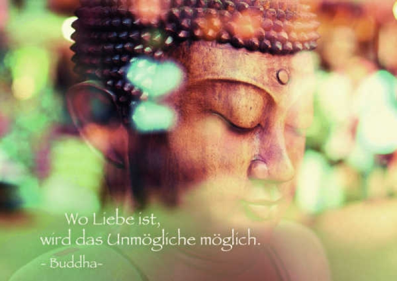 Buddha Postkarte Zitat Liebe Zitat Now, Jetzt