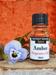 Parfümöl Amber von Ancient Wisdom 10ml